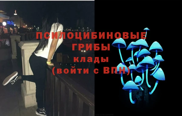 прущие крисы Богданович
