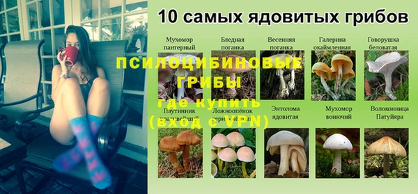 мдпв Богородицк