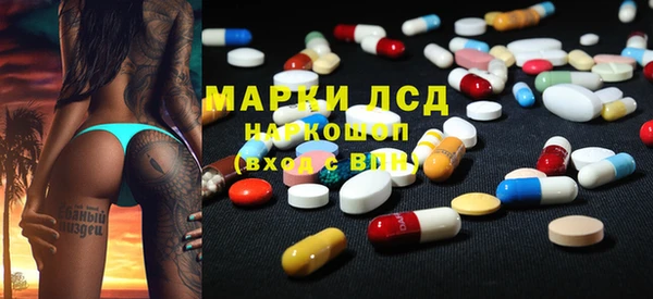прущие грибы Бронницы
