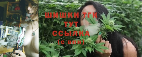мдпв Богородицк