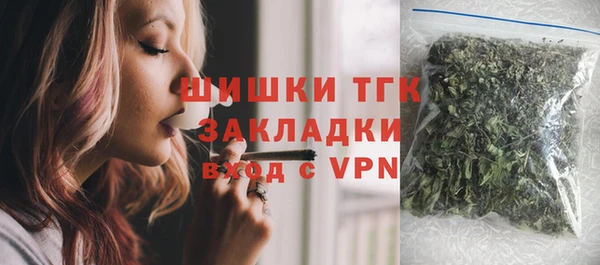 мдпв Богородицк