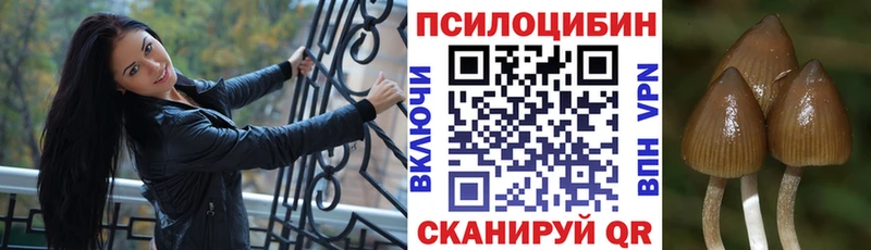 Галлюциногенные грибы GOLDEN TEACHER  что такое наркотик  Самара 